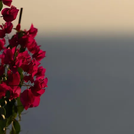 Villa Carpe Diem: Sea & Sunset View In Kea Island Ioulis